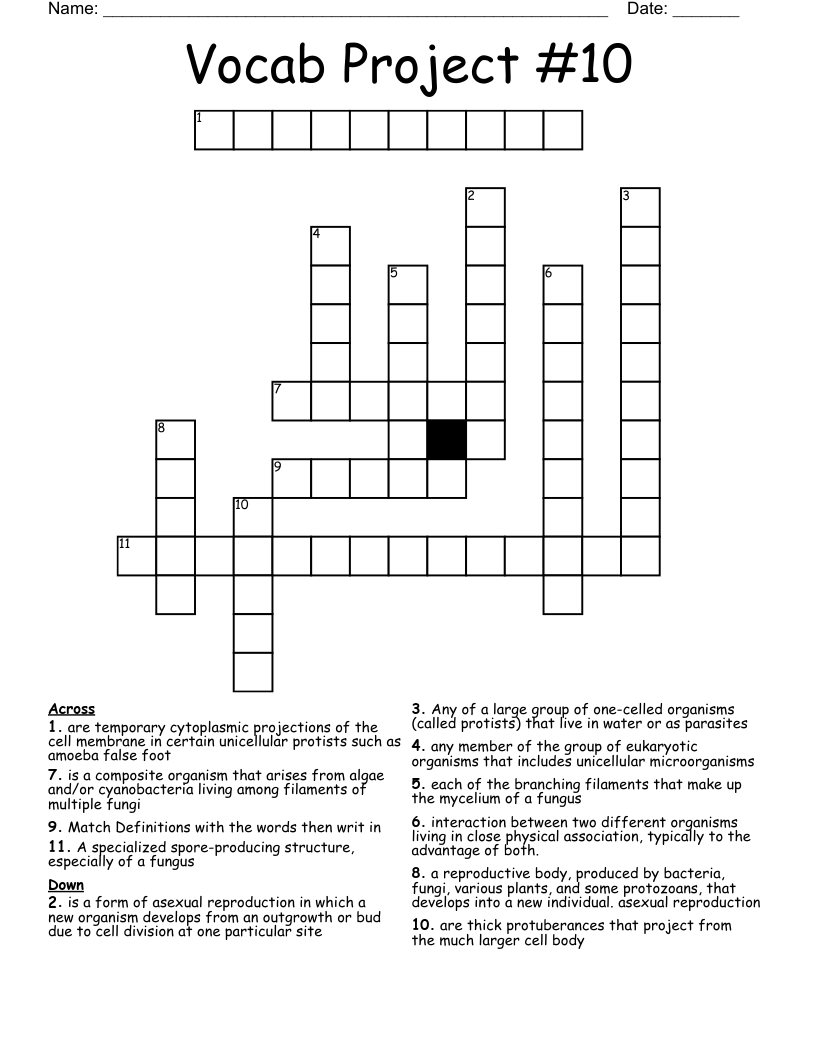 Vocab Project #10 Crossword