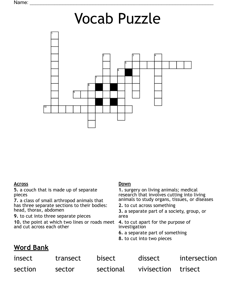 Vocab Puzzle Crossword