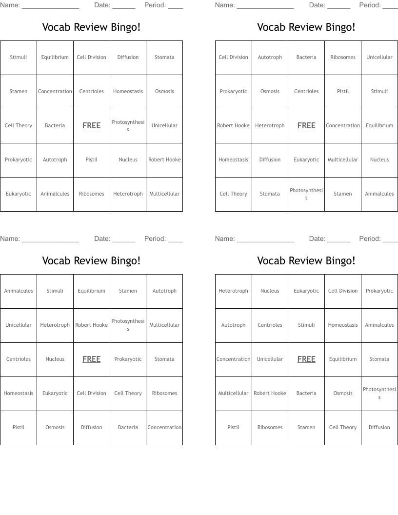 Vocab Review Bingo!