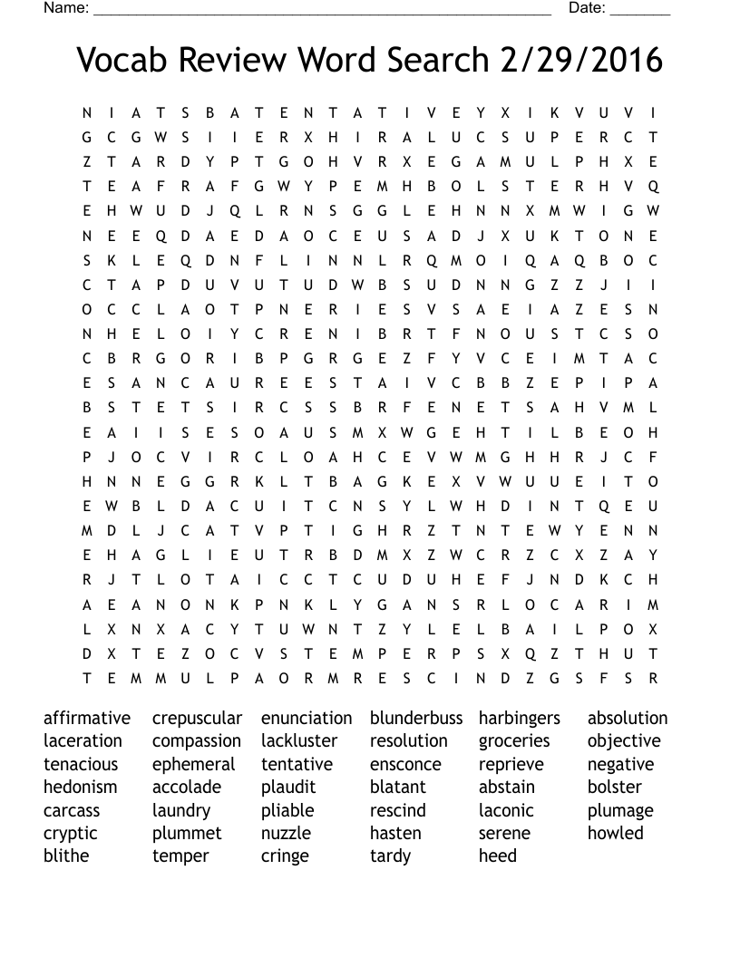 Vocab Review Word Search 2/29/2016