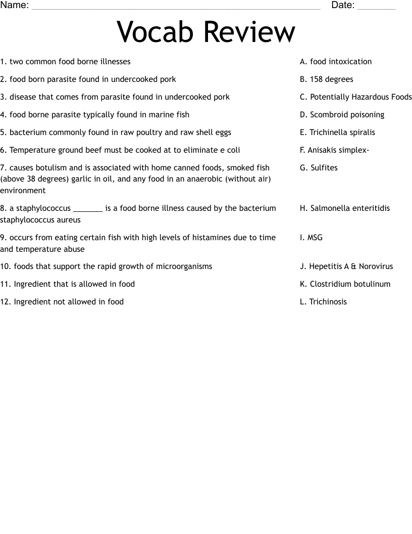 Vocab Review  Worksheet