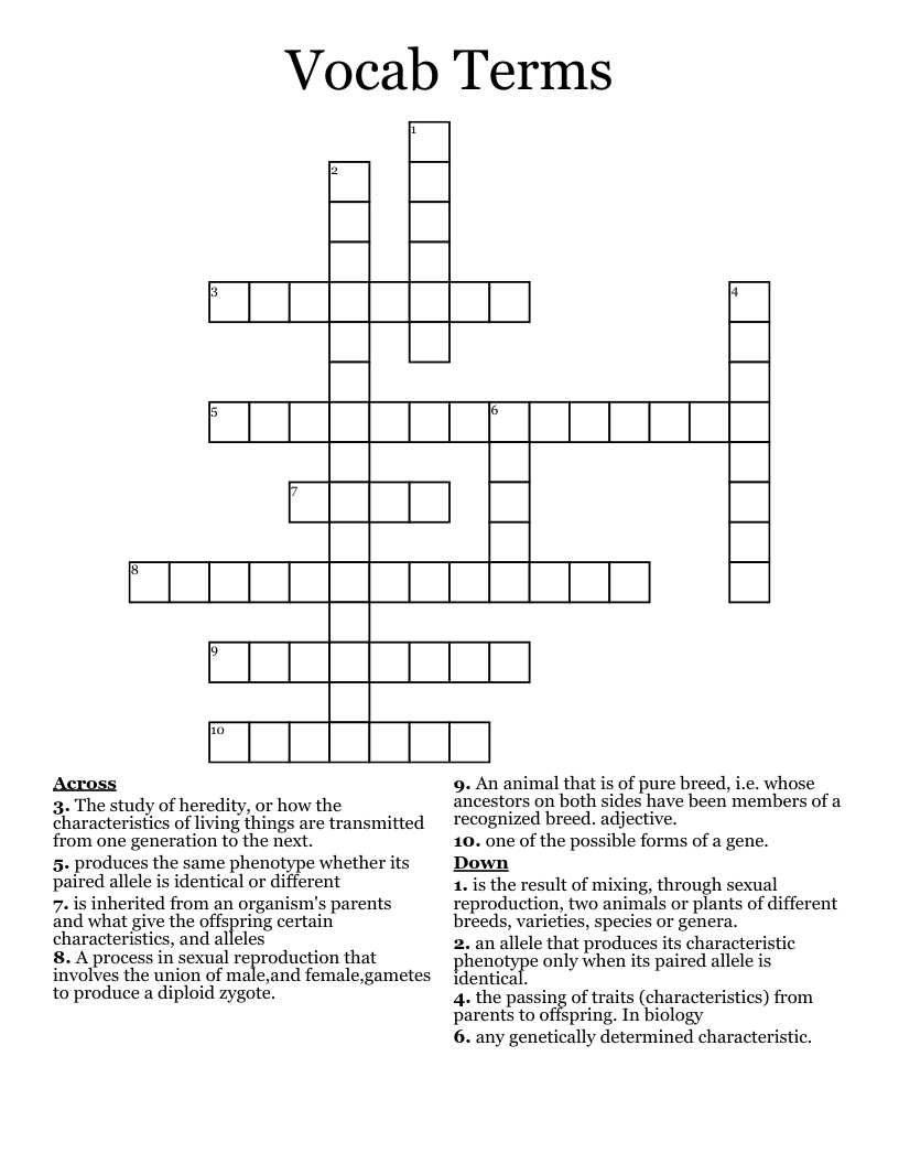 Vocab Terms Crossword