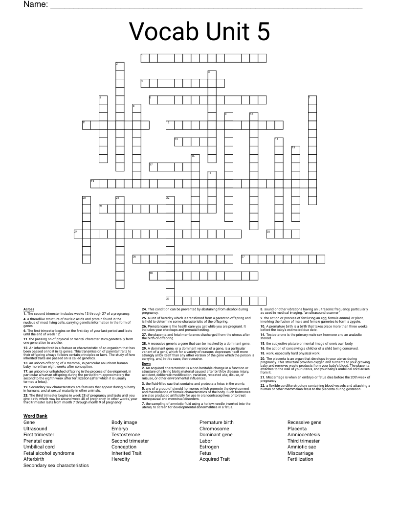 Vocab Unit 5 Crossword
