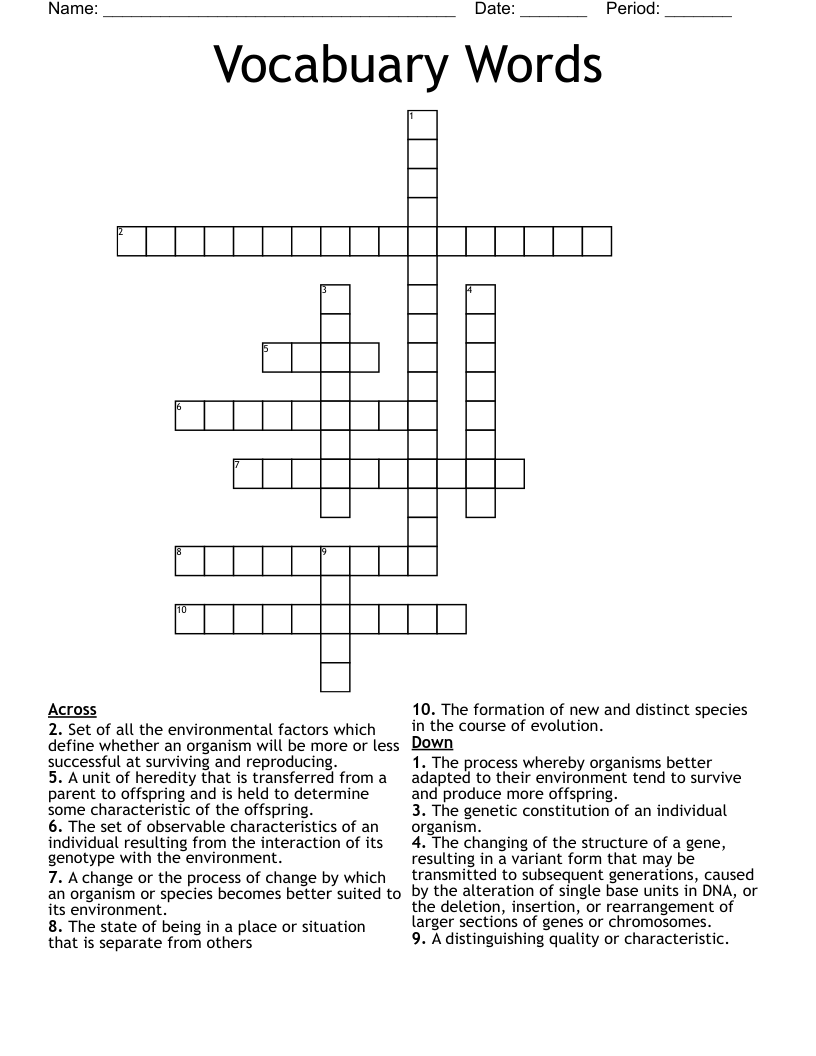 Vocabuary Words Crossword