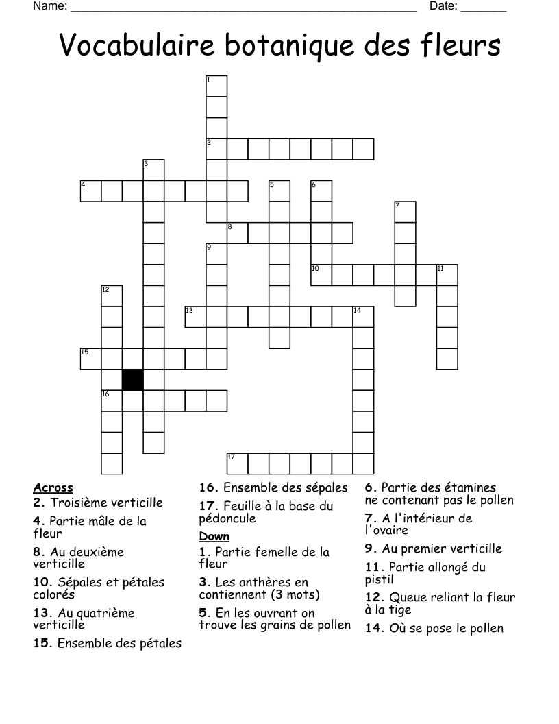 Vocabulaire botanique des fleurs Crossword