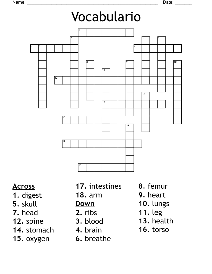 Vocabulario  Crossword