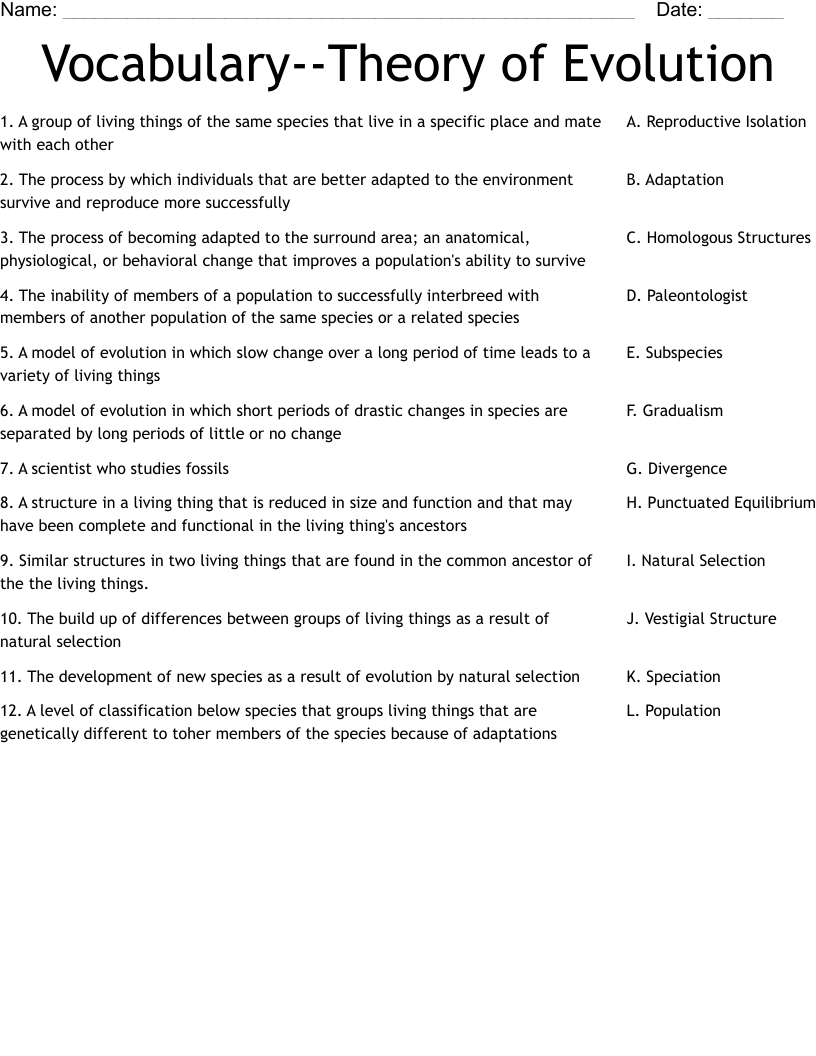 Vocabulary--Theory of Evolution Worksheet