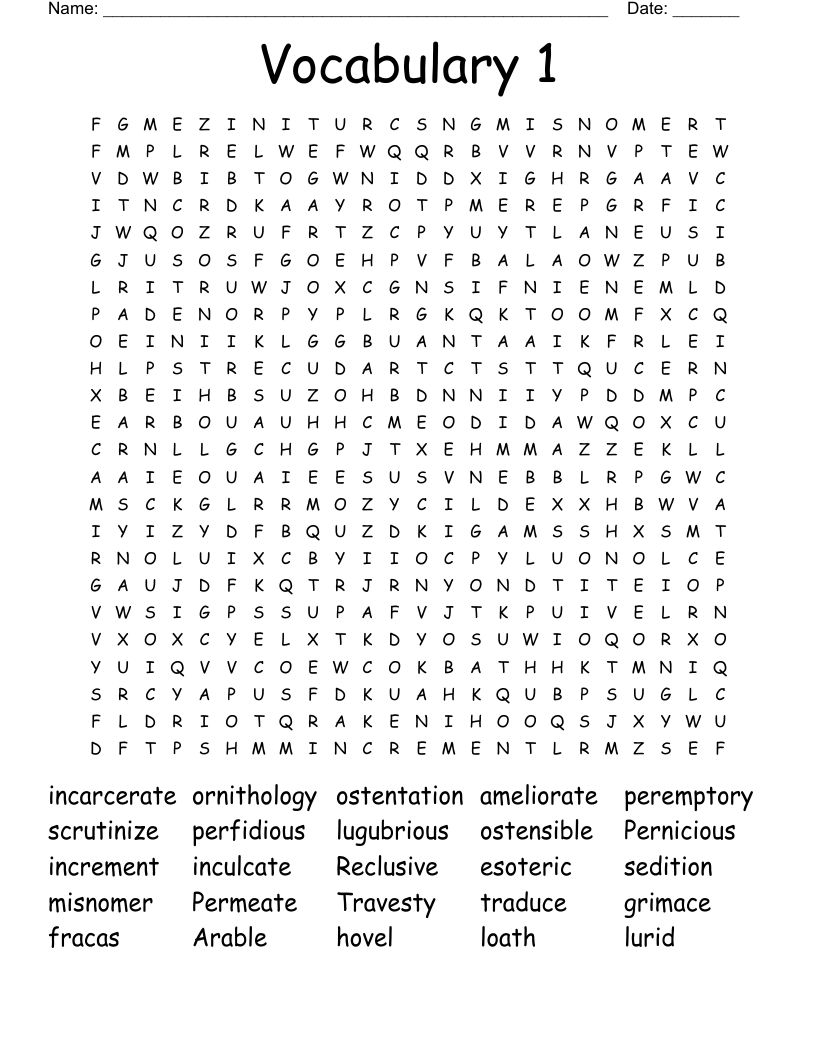 Vocabulary 1 Word Search
