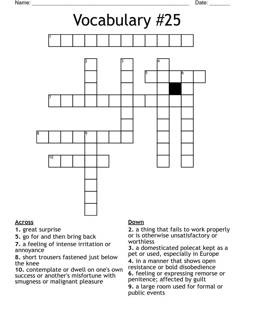 Vocabulary #25 Crossword