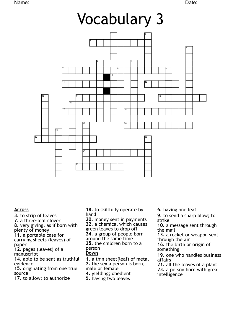 Vocabulary 3 Crossword