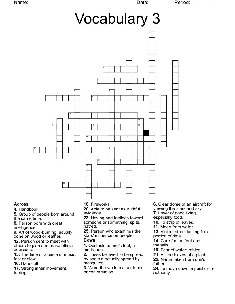 Vocabulary 3  Crossword