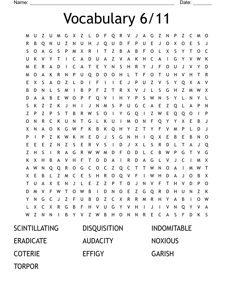 Vocabulary 6/11 Word Search