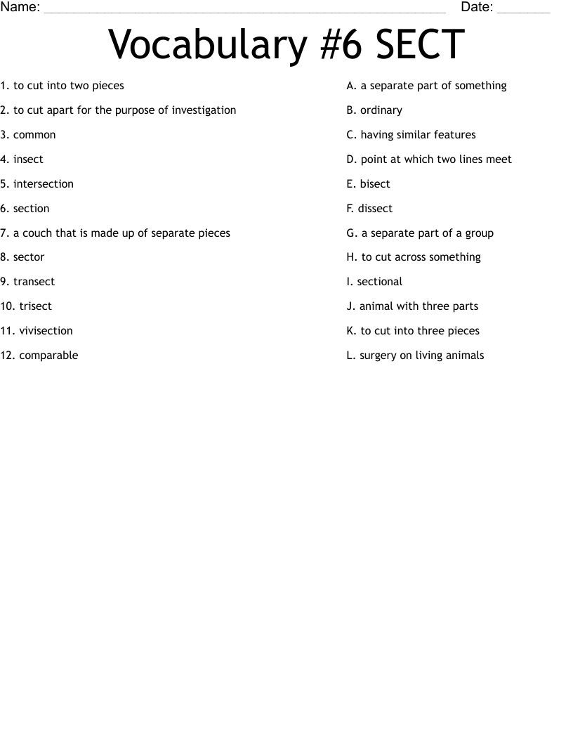 Vocabulary #6 SECT Worksheet