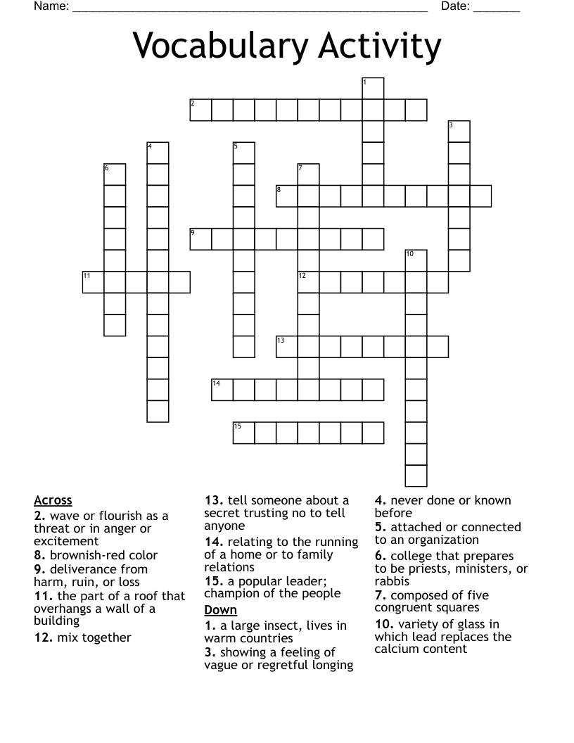Vocabulary Activity Crossword