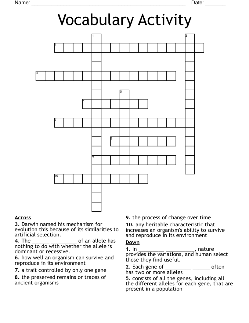 Vocabulary Activity Crossword