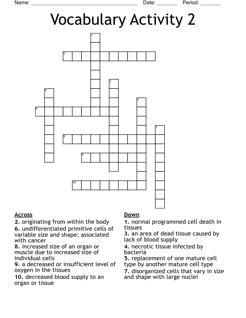 Vocabulary Activity 2 Crossword