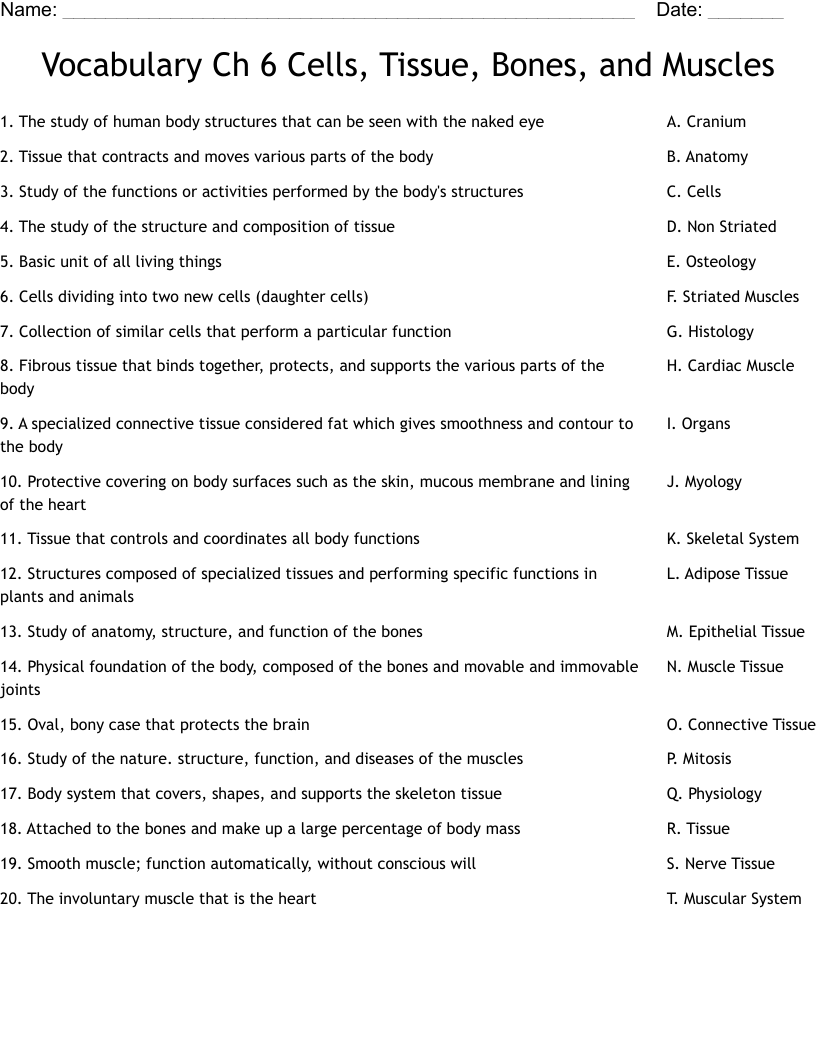 Vocabulary Ch 6 Cells, Tissue, Bones, and Muscles Worksheet