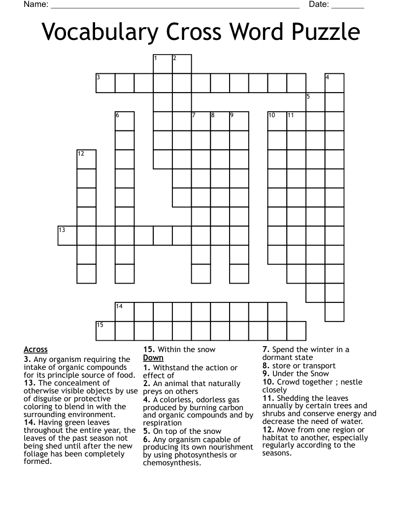 Vocabulary Cross Word Puzzle