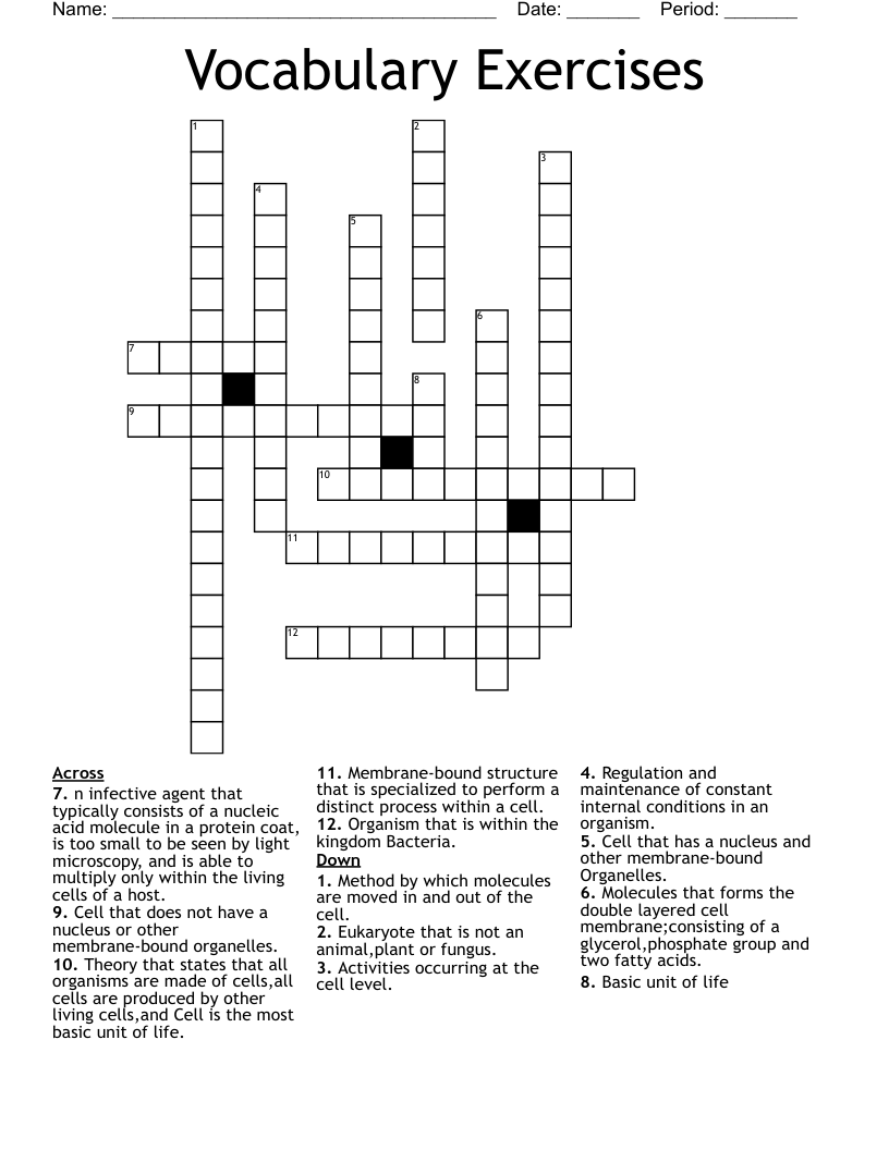 Vocabulary Exercises  Crossword