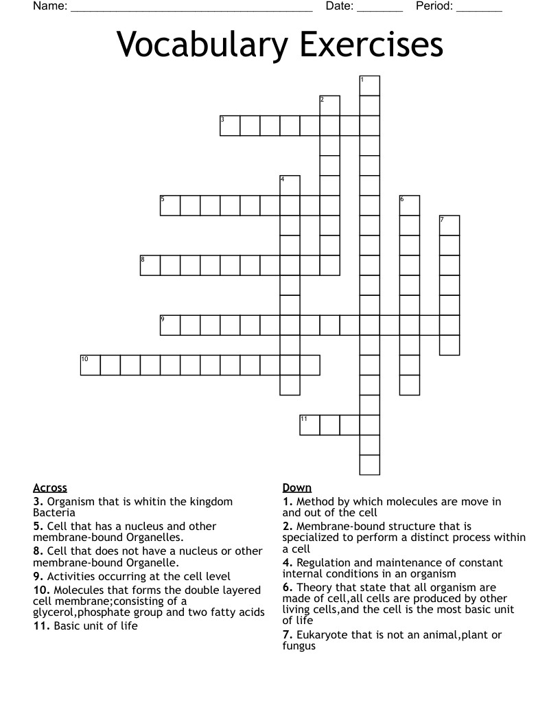 Vocabulary Exercises  Crossword