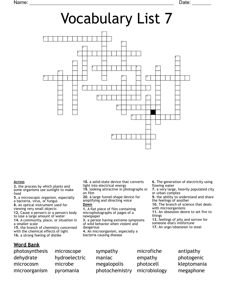 Vocabulary List 7 Crossword