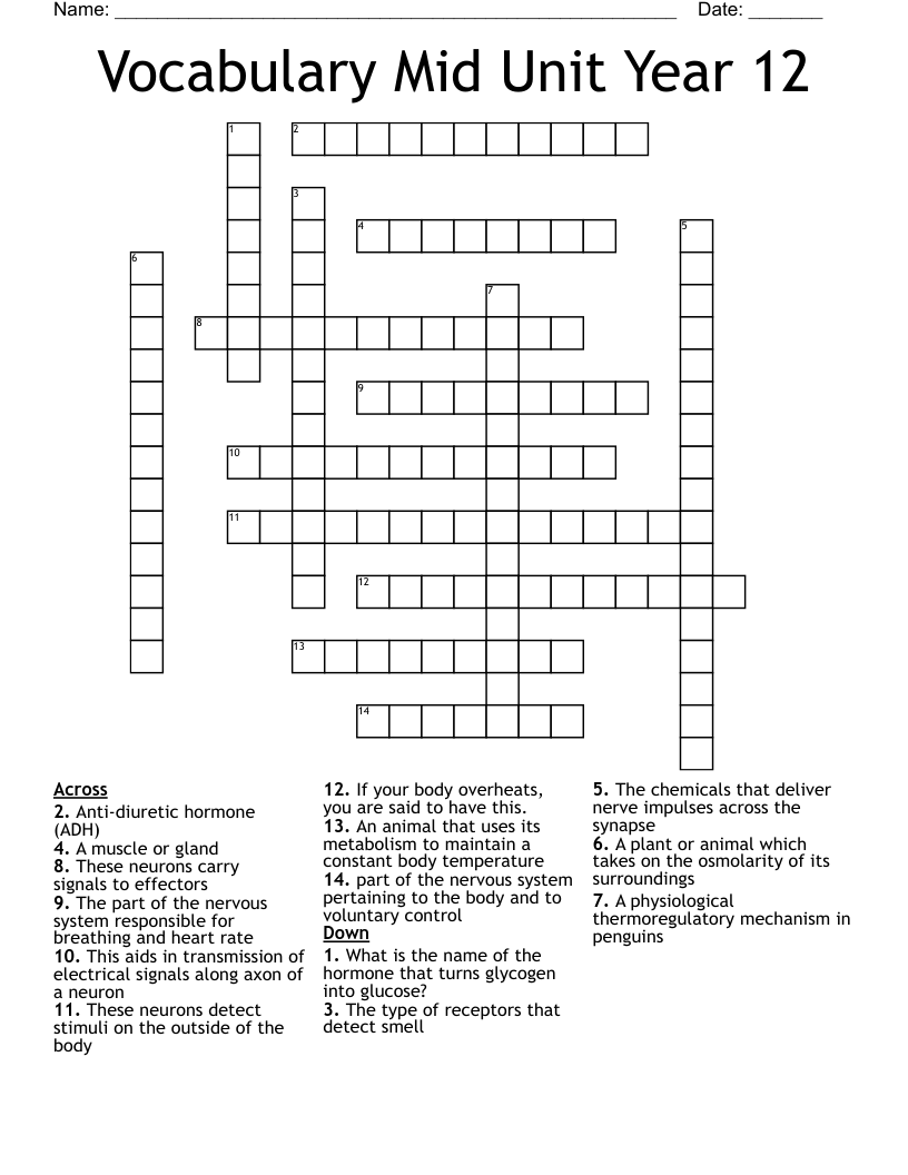 Vocabulary Mid Unit Year 12 Crossword
