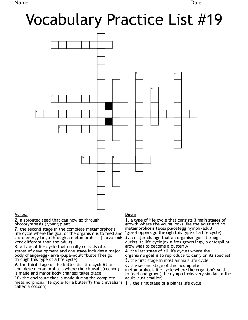 Vocabulary Practice List #19 Crossword