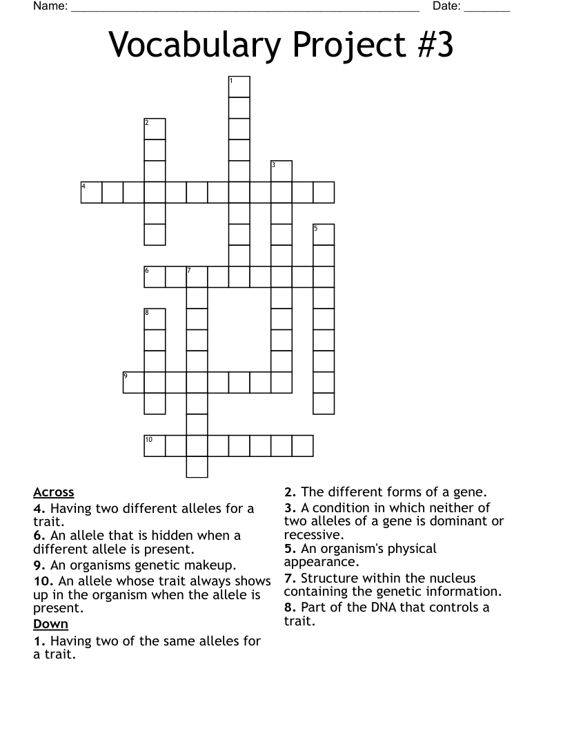 Vocabulary Project #3 Crossword