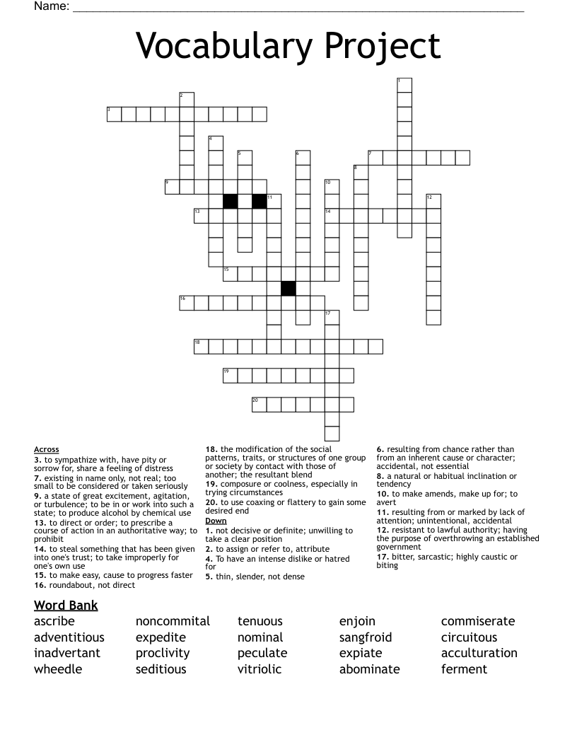 Vocabulary Project Crossword