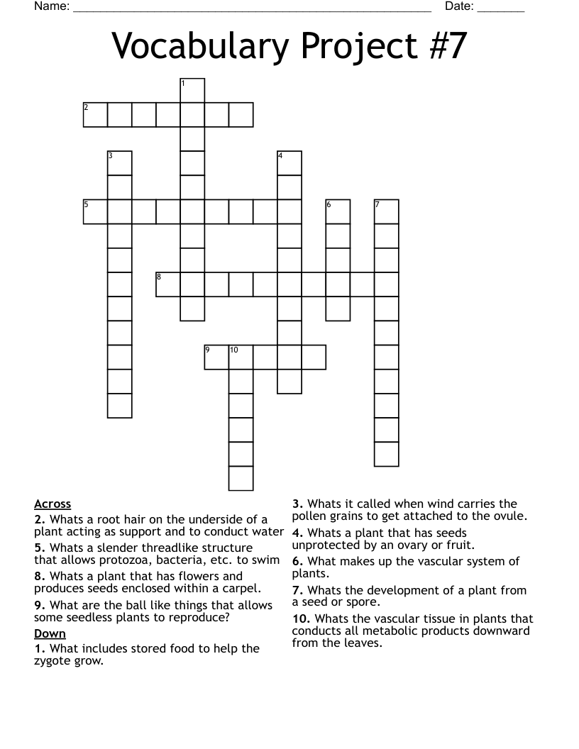 Vocabulary Project #7 Crossword