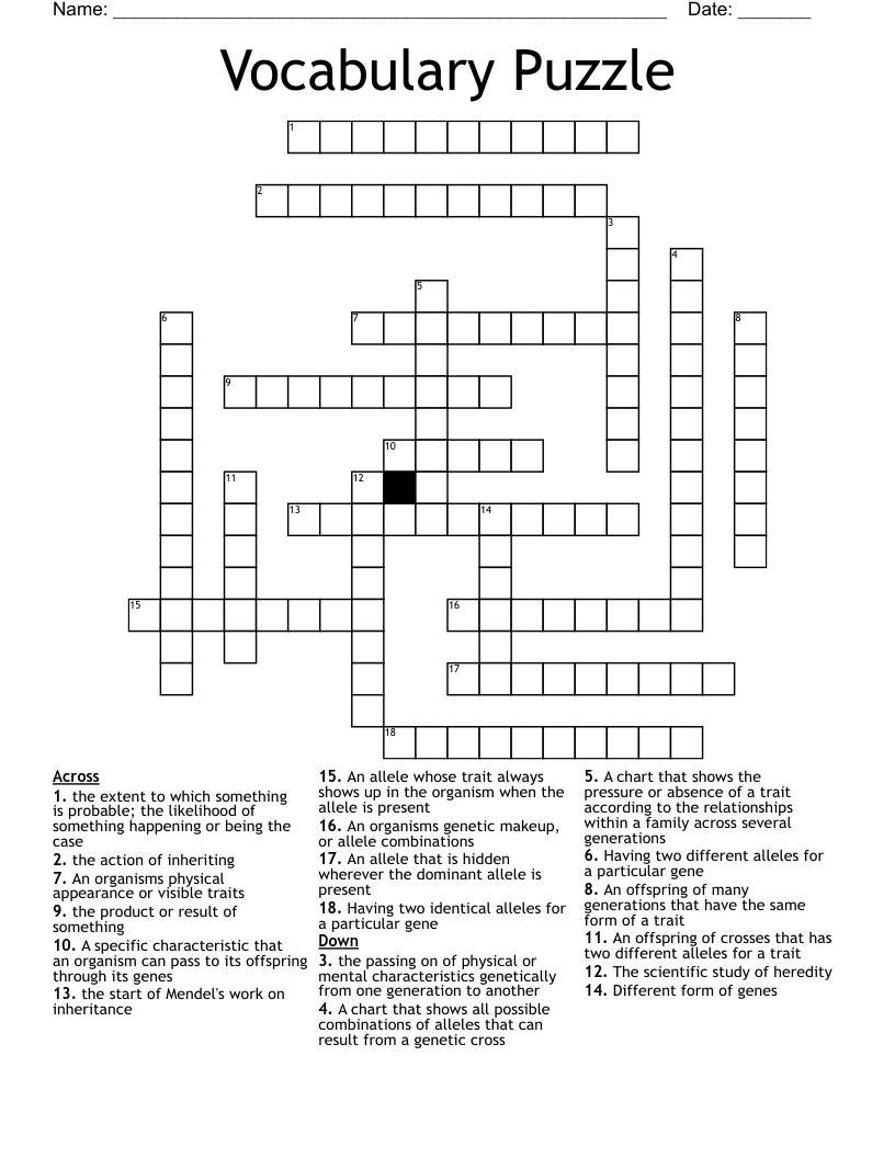 Vocabulary Puzzle Crossword