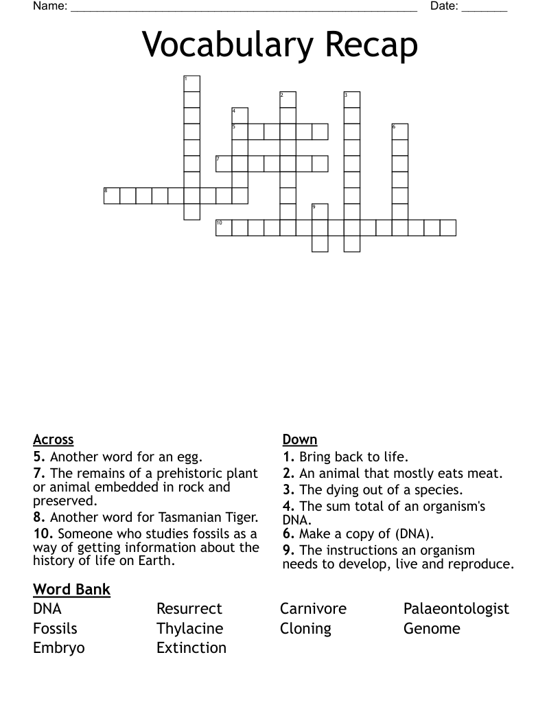 Vocabulary Recap Crossword