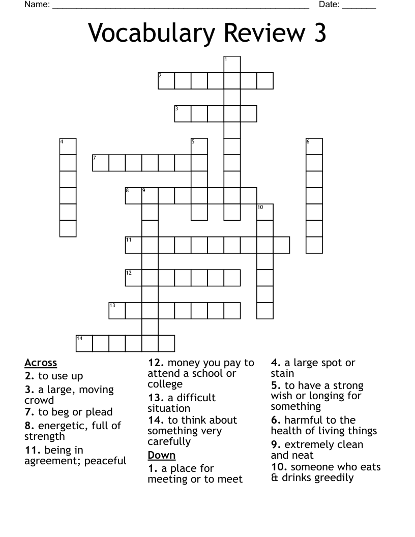 Vocabulary Review 3 Crossword