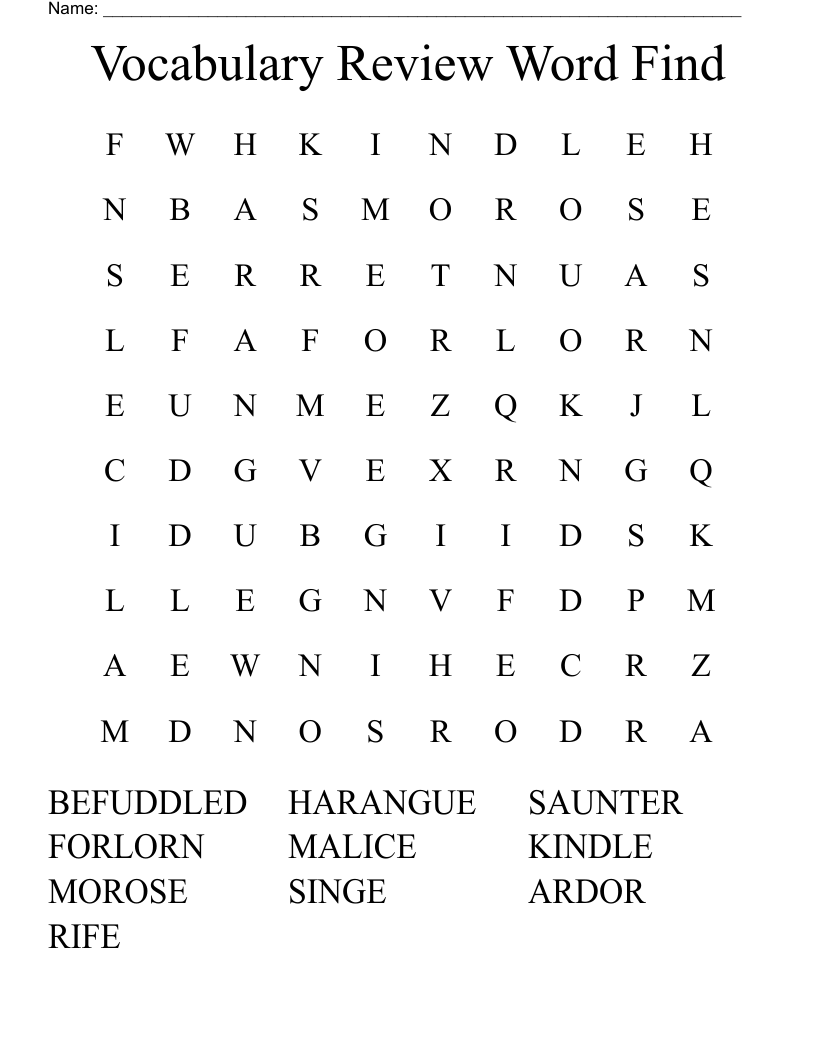 Vocabulary Review Word Find Word Search