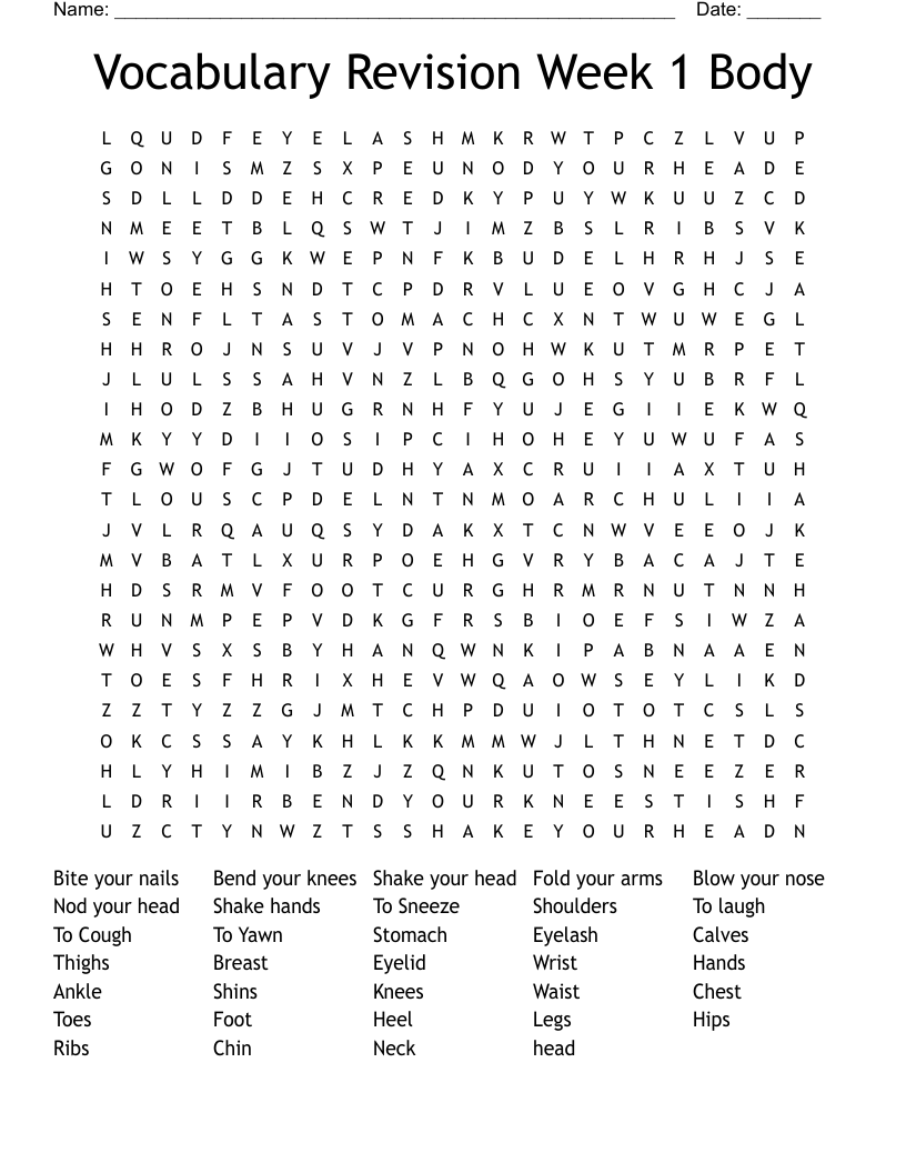 Vocabulary Revision Week 1 Body Word Search