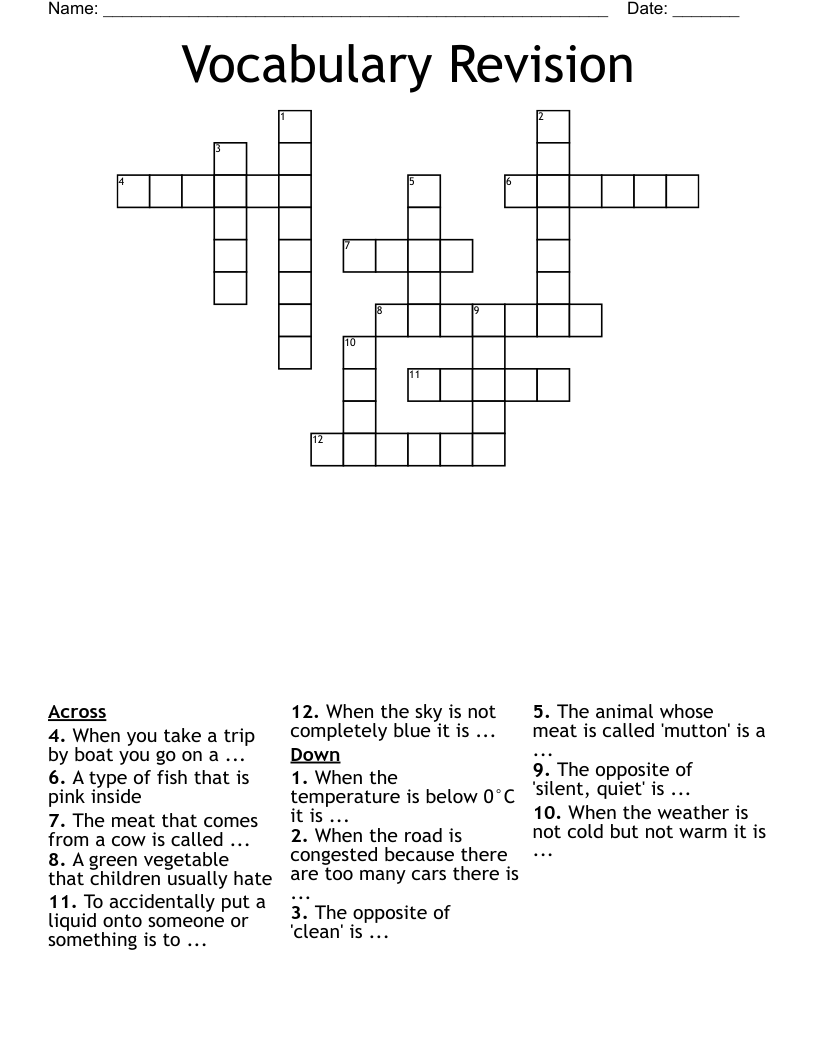 Vocabulary Revision  Crossword