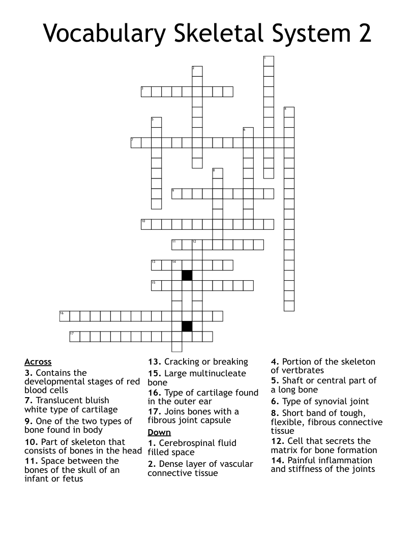 Vocabulary Skeletal System 2 Crossword