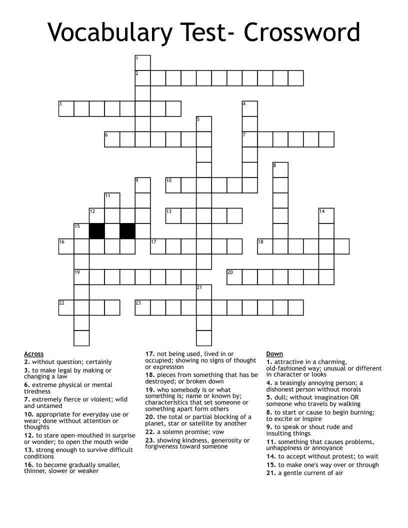 Vocabulary Test- Crossword