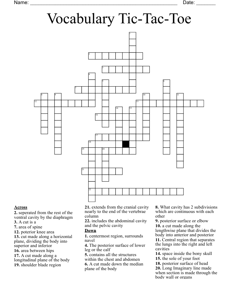Vocabulary Tic-Tac-Toe Crossword