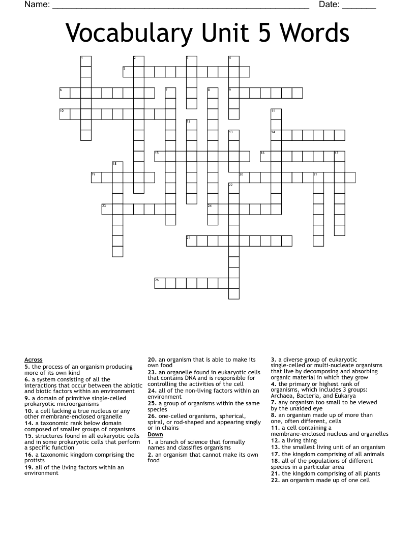 Vocabulary Unit 5 Words Crossword