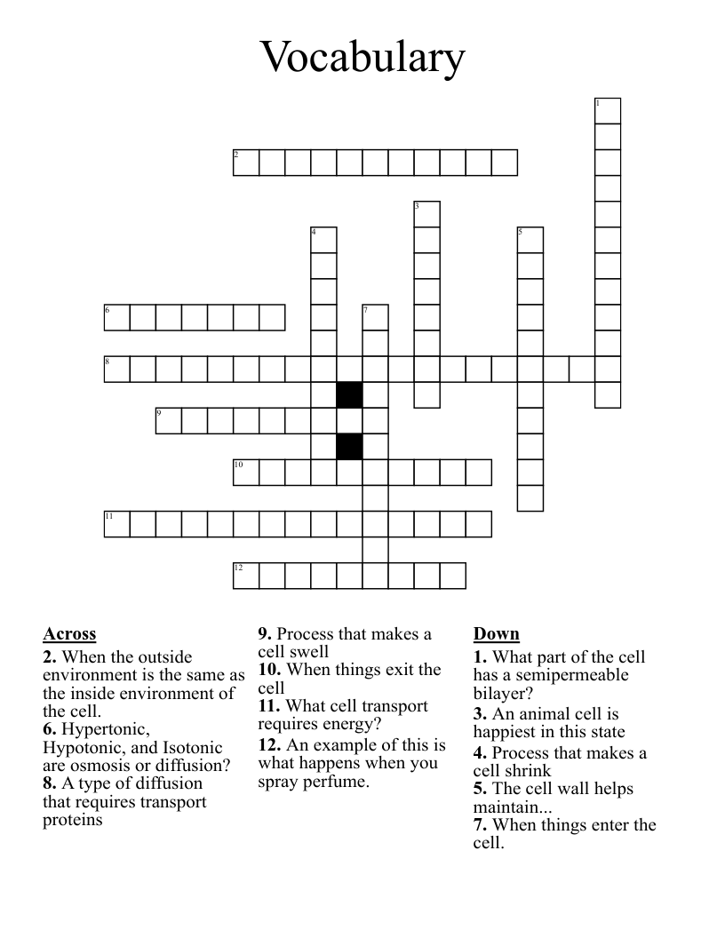 Vocabulary  Crossword