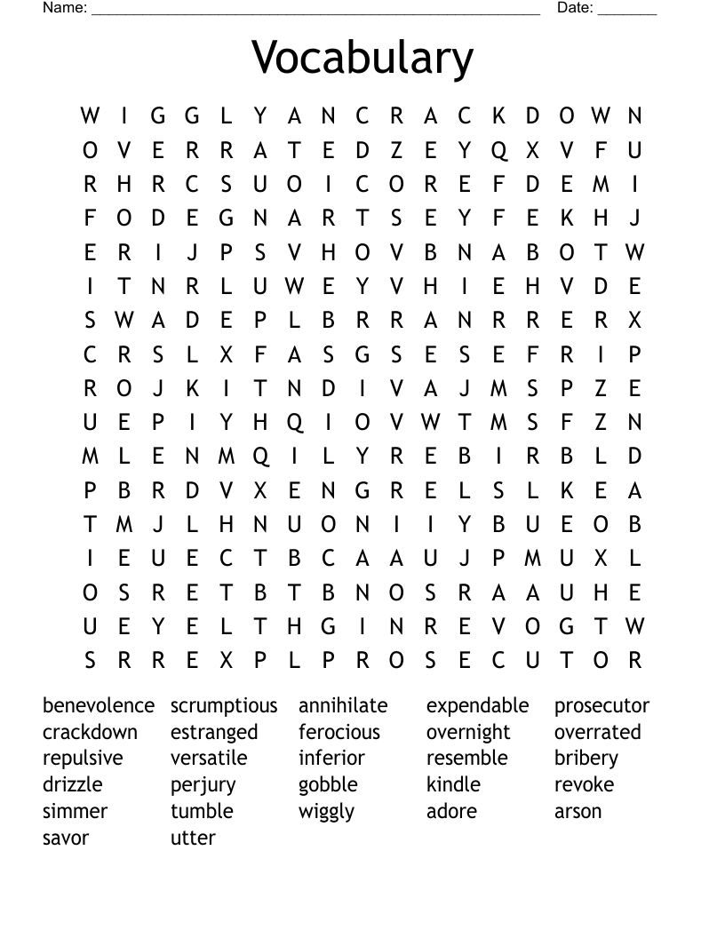 Vocabulary  Word Search