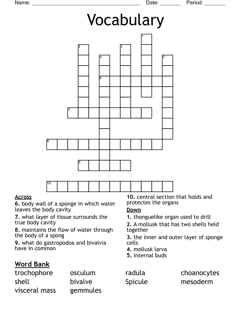 Vocabulary  Crossword