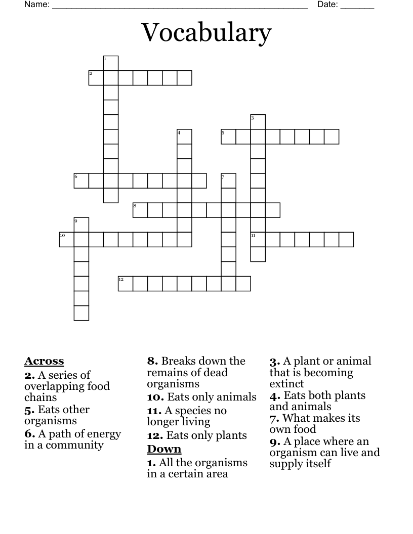 Vocabulary  Crossword