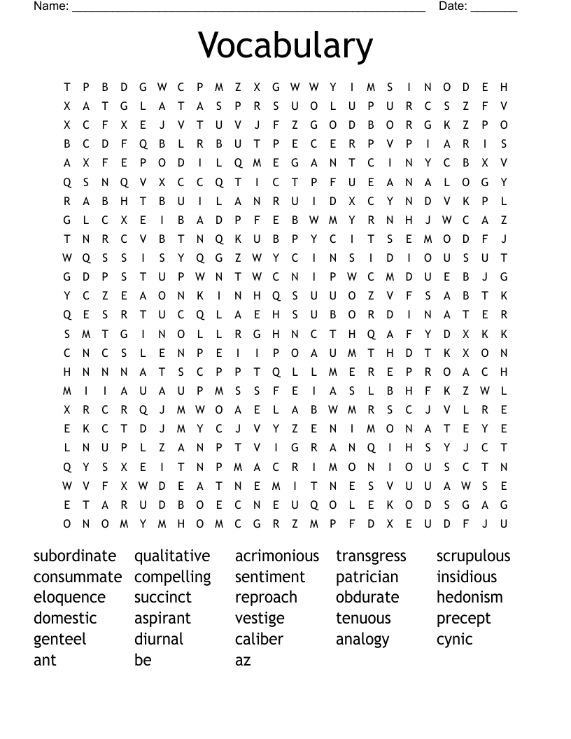Vocabulary  Word Search