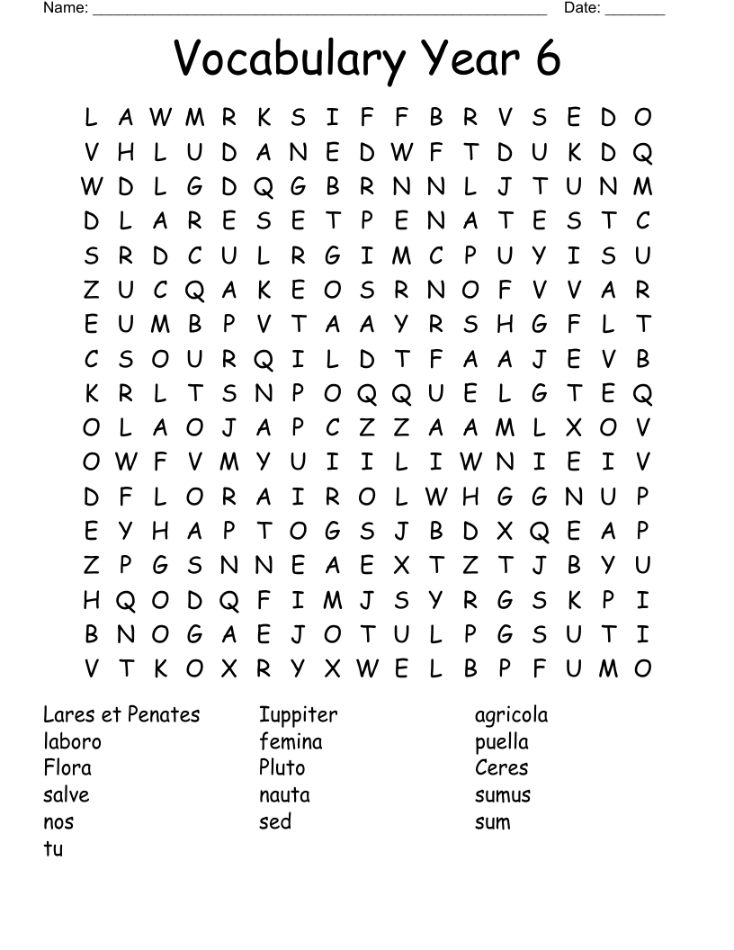 Vocabulary  Year 6 Word Search