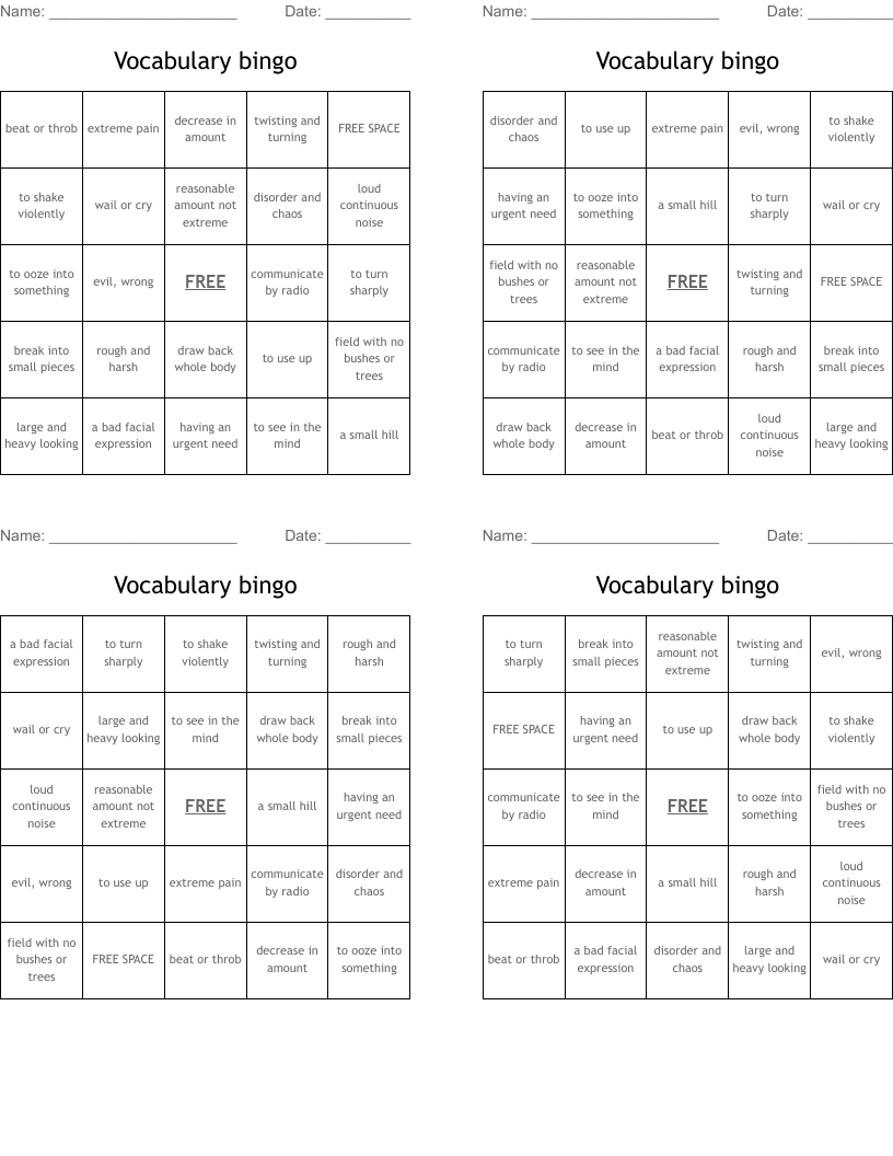 Vocabulary bingo