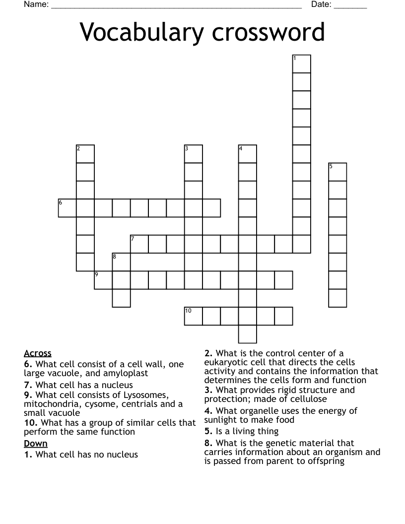 Vocabulary crossword 