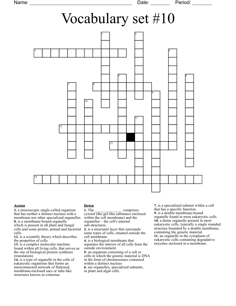 Vocabulary set #10  Crossword