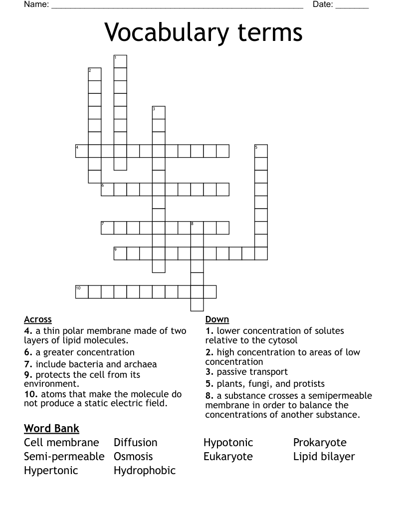 Vocabulary terms Crossword